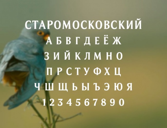 Бесплатные кириллические шрифты #33
