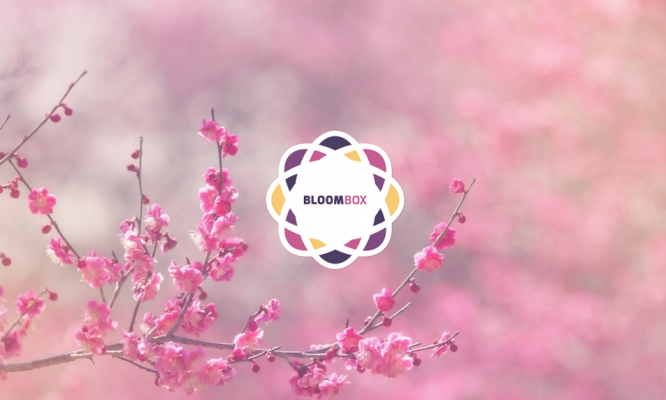 5 trends in the world of floral logos