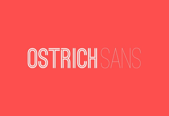 OSTRICH SANS