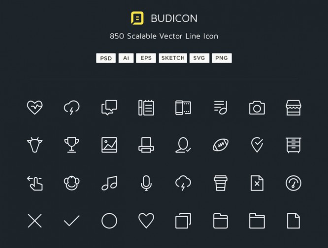 Budicon