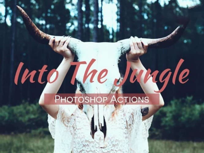 Into-The-Jungle-Photoshop-Actions-1024x768