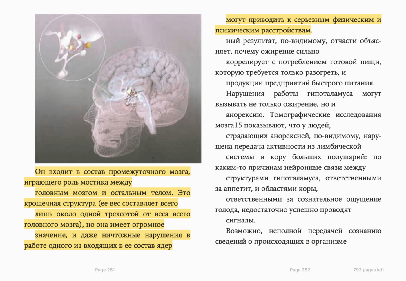 Как работает мозг книга. Исследование мозга книга.